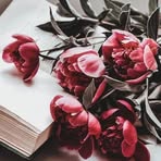 Nina Eli - Facebook