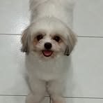 Nina Espiritu - Facebook