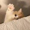 nina🩹 - @nina._granger - TikTok