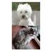 Hebert Nina - Facebook