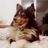 ninahebert939 - @ninahebert939 - TikTok