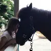 #animal-loverin🤪 - @nina_hirsch - TikTok
