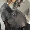 Nina - @ninahunt50 - TikTok