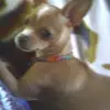 Nina Johns - @nina.johns1 - TikTok