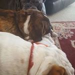 Nina Johns Griffiths - @ninajohnsgriffiths - Instagram