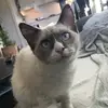 Nina Johnsson - @ninajohnss - TikTok