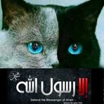 Nina Khalil - Facebook