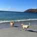 Nina Knowles - Facebook