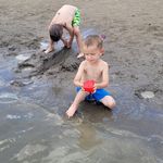 Nina Leach - @homeschoolingwildboys - Instagram