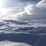 Nina_levin - @nina_levin5801 - Instagram
