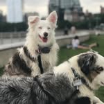 Nina And Logan - @ninaandlogan - Instagram