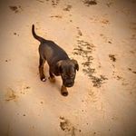 nina_logan_o_s - @nina_logan_o_s - Instagram