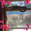 Nina Lowe - @nina.lowe - TikTok
