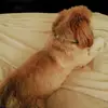 Nina Mann246 - @ninamann246 - TikTok