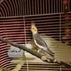 Manuel Nina - @manuel.nina5 - TikTok