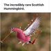 Nina Kardal Mcgregor - Facebook