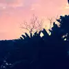 nina - @ninameredithmcdonald - TikTok