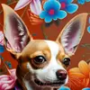 ninavmeredithd - @ninavmeredithd - TikTok
