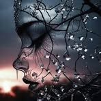 Nina Murphy - Facebook