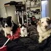 Nina Murphy - @nina.murphy7 - TikTok
