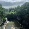 nina - @nina_murray - TikTok