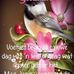 Nina Nell - Facebook