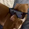 nina :) - @nina.nikolicc - TikTok