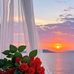 Nina Nikolic - Facebook