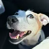 ninapolson - @ninapolson4 - TikTok