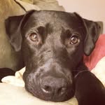 Patton Nina - @pattonnina - Instagram