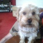 Nina Pearson - @pearsonnina.np - Instagram