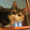 Nina Powers ladybug - @ninapowers10 - TikTok