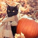 @ninaprevost60 - Instagram