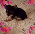 Nina Ramey - Facebook