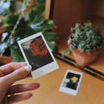 @ninarameyphoto - Instagram
