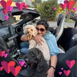 Nina Raymond - @realhousedogsmelb - Instagram