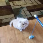 Nina Reeves - @nina.reeves.338 - Instagram