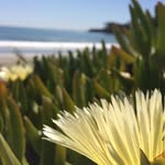 Nina Reeves - @nina_photography_13 - Instagram