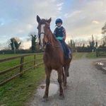 nina reilly | 🇮🇪🐴 - @nina.equii - Instagram