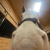 Nina - @ninarhoades_eq - TikTok