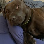 Nina Riley - @prncs5411 - Instagram