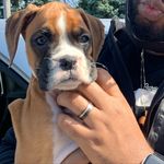 nina simone riley - @adventuresofninariley - Instagram