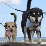 Nina & Ritchie - @nina_ritchie2 - Instagram