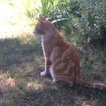 Nina Ritchie - @cilia_lol - Instagram