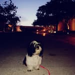 nina💜 - @nina_rivas_v - Instagram