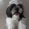 ninarivas345 - @ninarivas345 - TikTok