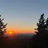Nina Roy - @nina.roy2 - TikTok