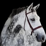 Nina Shields - @ninashields8 - Instagram