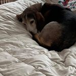 Nina Shields - @farmerbetty321 - Instagram