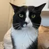 beatrizvenancio10 - @nina.smart0 - TikTok